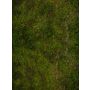 Undergrowth 44”x60” / 112x152 cm - single-sided anti-slip fabric mat