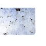 Tundra 44”x60” / 112x152 cm - single-sided rubber mat