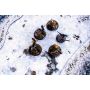 Tundra 48”x48” / 122x122 cm - single-sided rubber mat