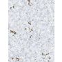 Tundra 44”x60” / 112x152 cm - single-sided rubber mat