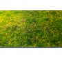 Universal Grass 30”x22” / 76x56 cm - single-sided rubber mat