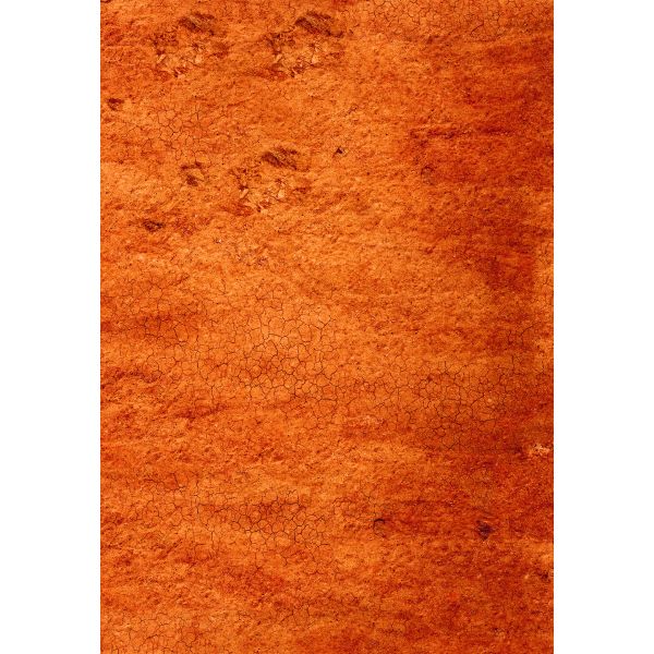Red Desert 44”x30” / 112x76 cm - single-sided anti-slip fabric mat