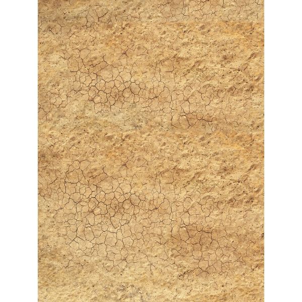 Rocky Desert 30”x22” / 76x56 cm - single-sided anti-slip fabric mat